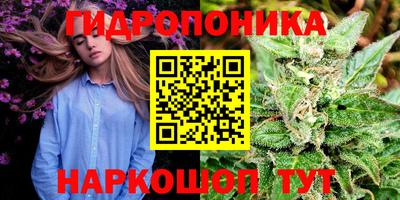 дурь Гатчина