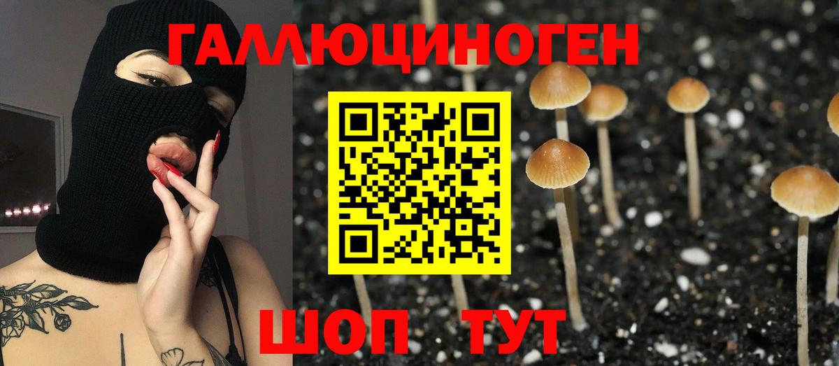 Галлюциногенные грибы Cubensis Мценск